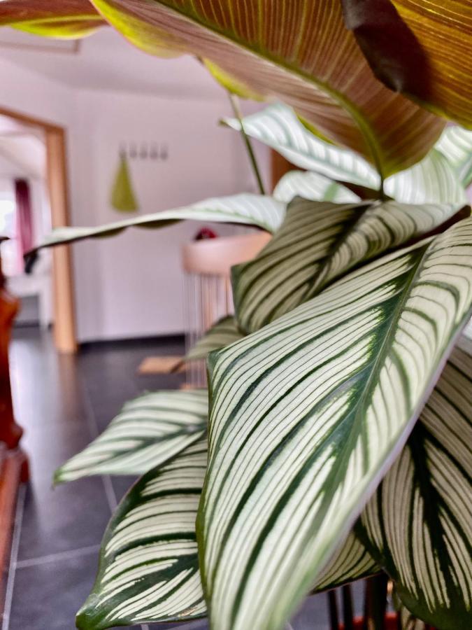 Moderne Ferienwohnung Seeblick フロイデンベルク エクステリア 写真