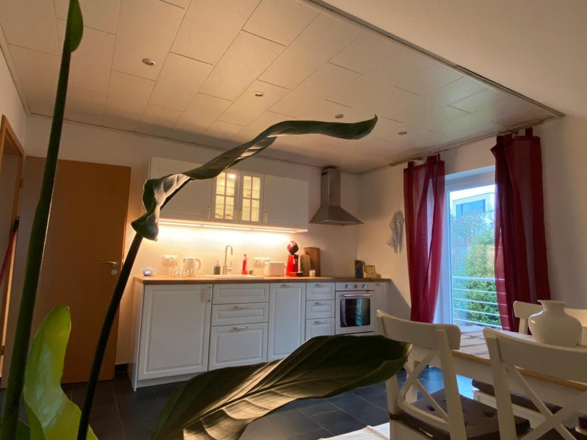Moderne Ferienwohnung Seeblick フロイデンベルク エクステリア 写真